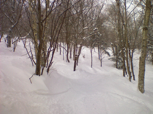 ndg.gif