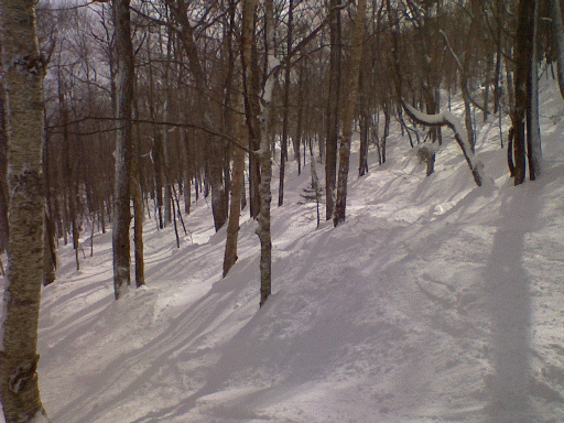 ndg2.gif