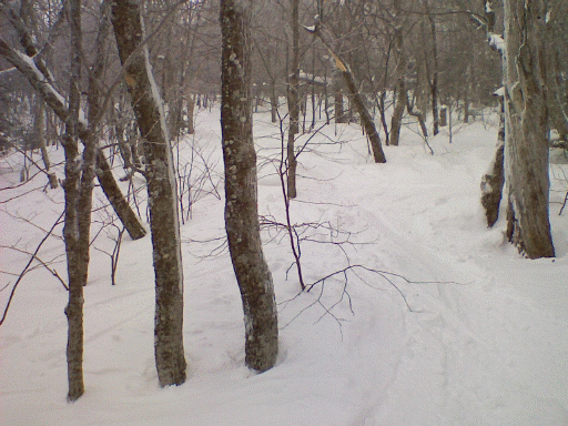 ndglades.gif