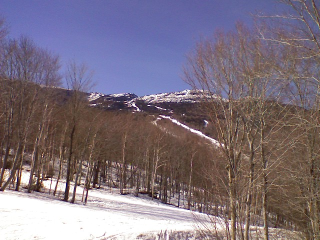 0321091430a.jpg