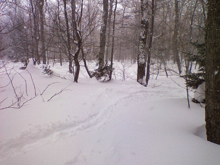 r0215081307a.gif