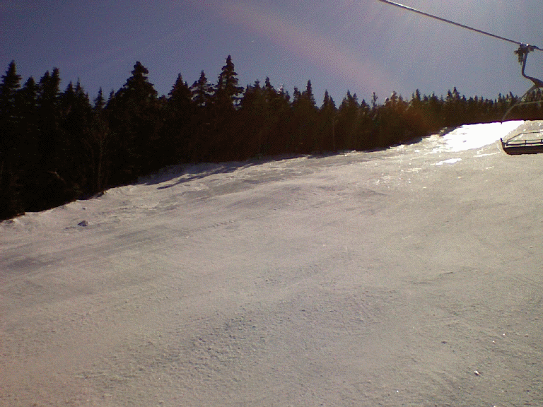r0323081127.gif