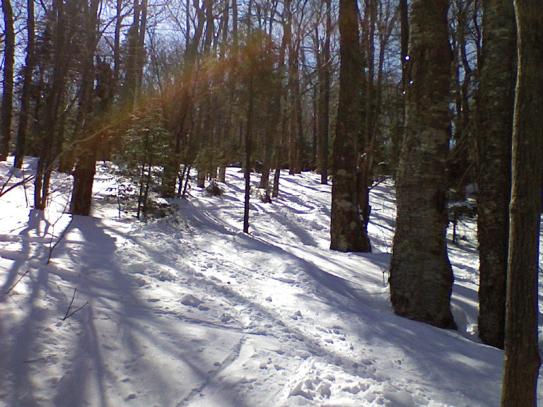 r0323081136.gif