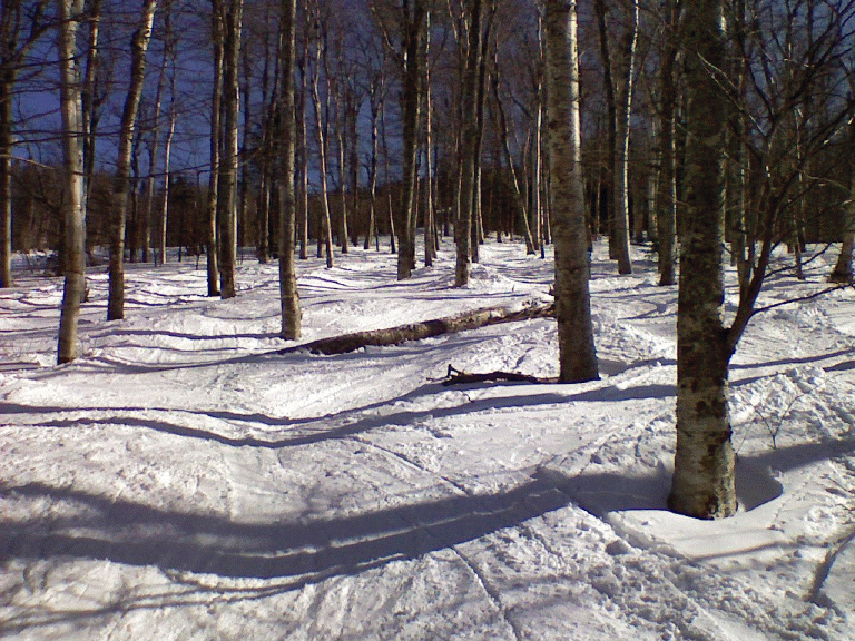 r0323081528.gif