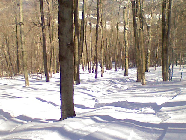 x0303091015.jpg