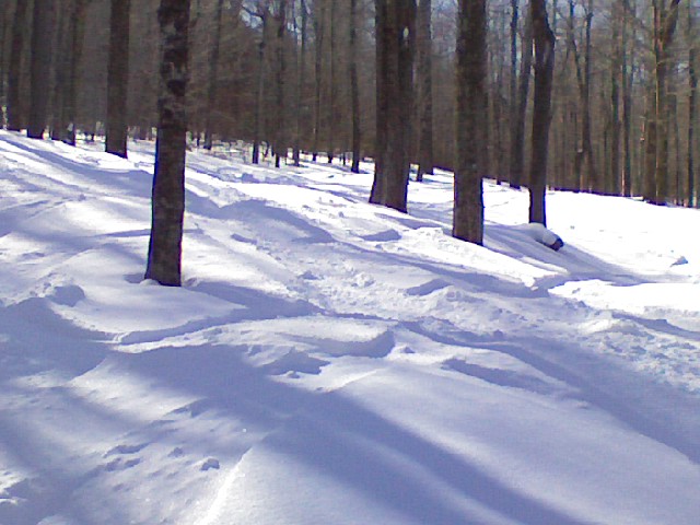 x0303091018.jpg