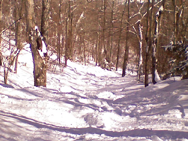 x0303091053.jpg