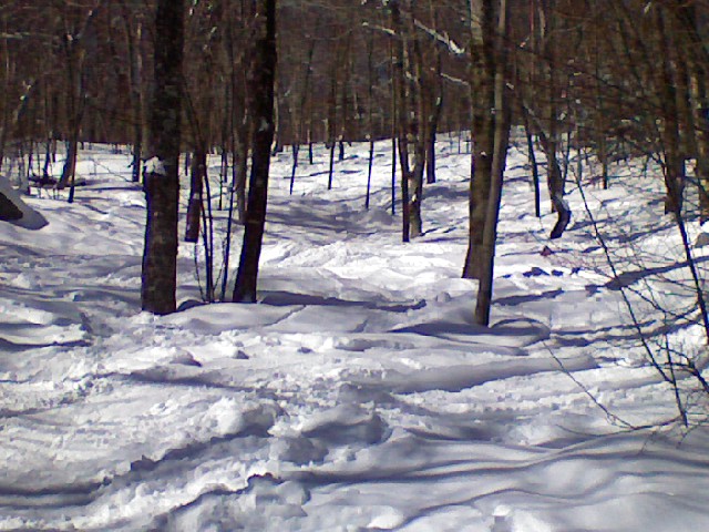 x0303091054.jpg