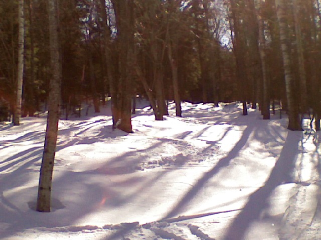 x0303091126.jpg