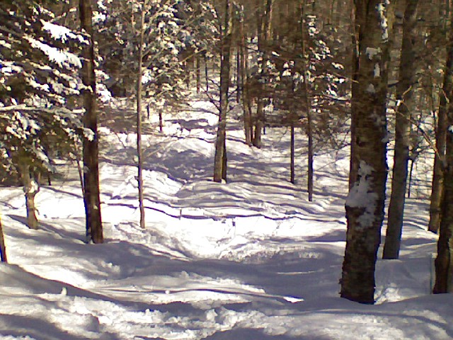 x0303091227.jpg
