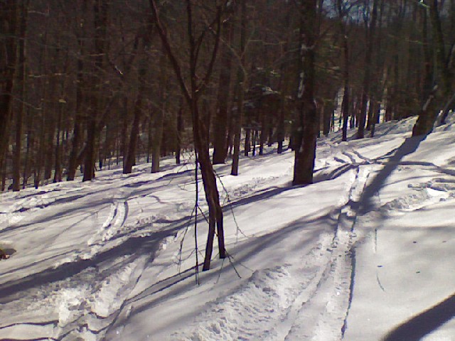x0303091228.jpg