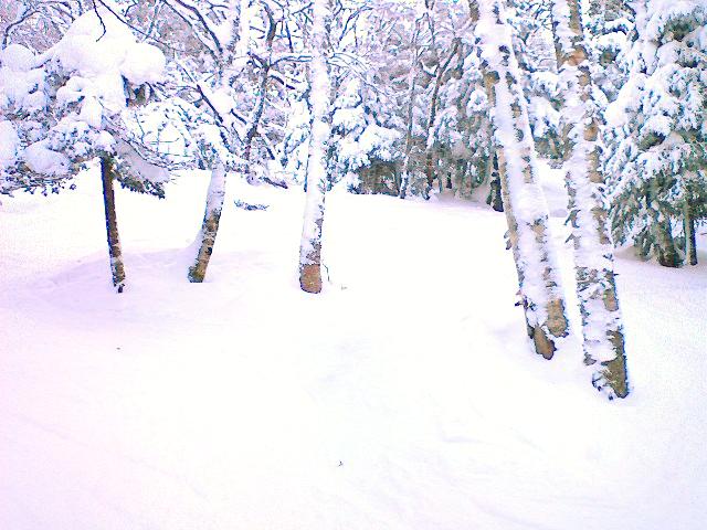 r0117091341.jpg