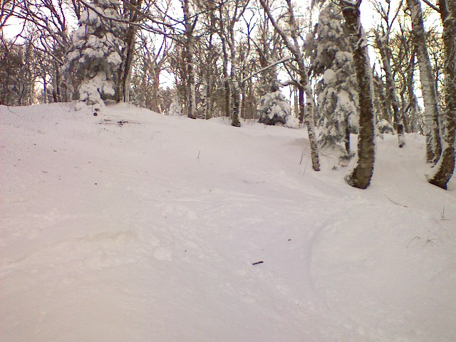 s0117091413a.jpg
