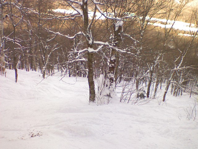 s0117091413b.jpg
