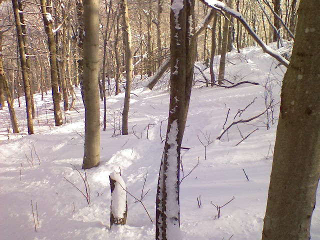 s0109091110.jpg