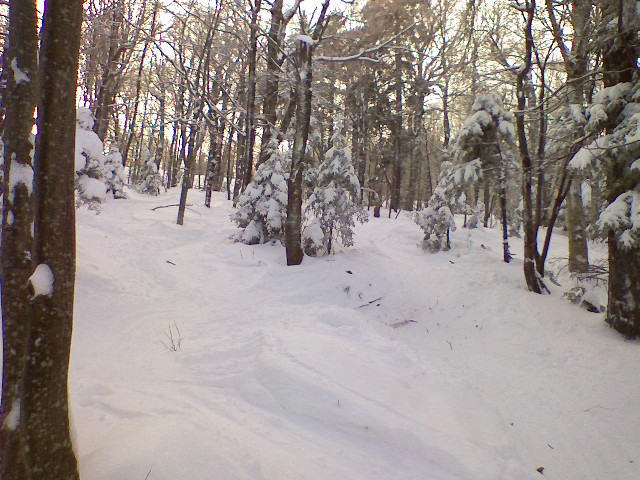 s0109091408a.jpg