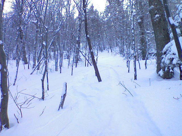 s0109091414a.jpg