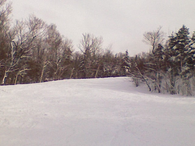 x0220091200a.jpg
