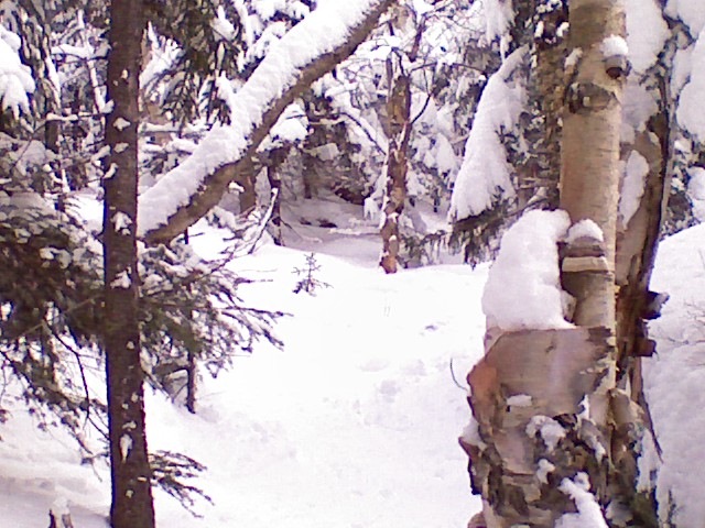 x0220091228b.jpg