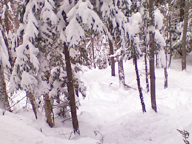 x0220091228c.jpg