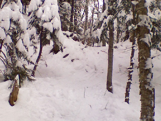 x0220091232.jpg
