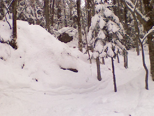 x0220091235.jpg