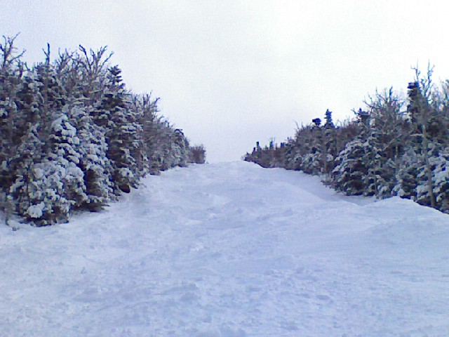x0220091257.jpg