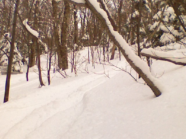 x0220091452.jpg