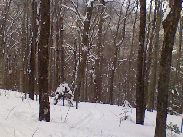 x0220091456.jpg